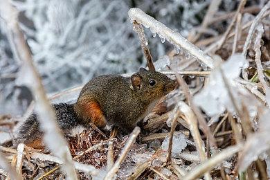彭博社记者称《宣誓》比《33号远征队》更好 被玩家狂喷