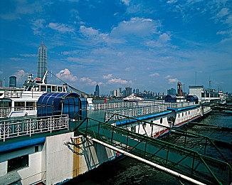 《莱萨里亚：奇幻王国模拟》新预告 《王权》精神续作